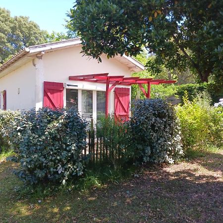 Maisonnette Proche De La Plage Tarnos Εξωτερικό φωτογραφία