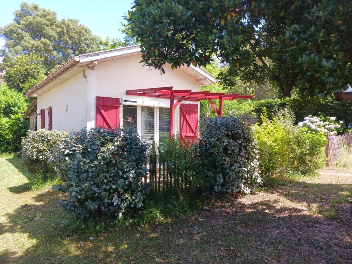 Maisonnette Proche De La Plage Tarnos Εξωτερικό φωτογραφία